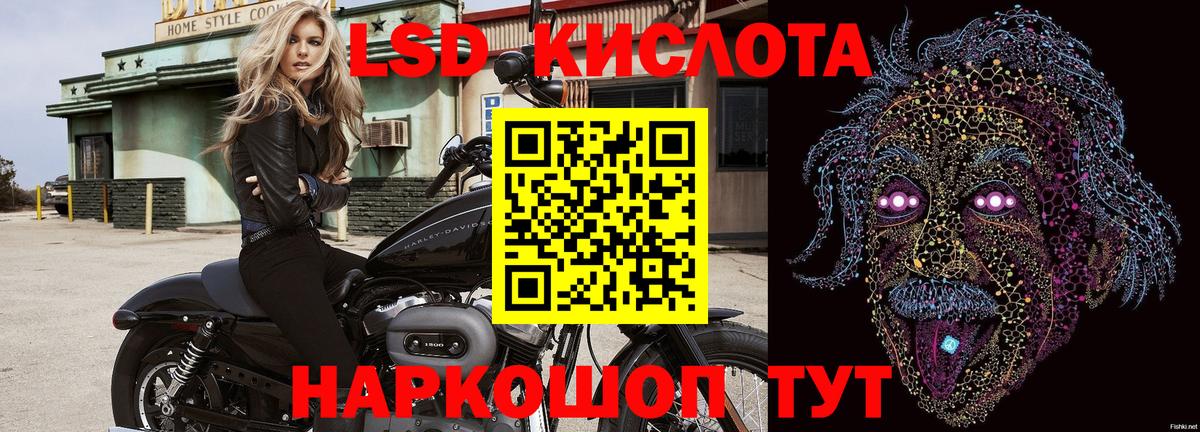Наркотические марки 1500мкг  Наркотические марки 1500мкг  Лосино-Петровский  Вход с VPN 