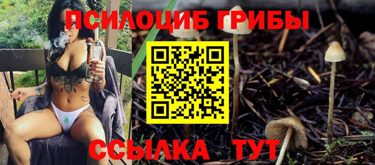 Псилоцибиновые грибы Psilocybine cubensis  Вход с VPN  Лосино-Петровский  Псилоцибиновые грибы Psilocybe 