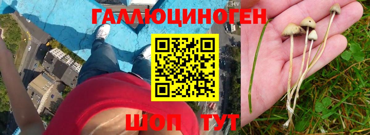 Галлюциногенные грибы GOLDEN TEACHER Лосино-Петровский